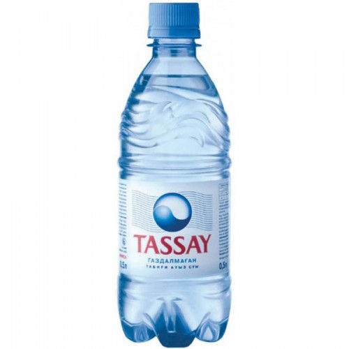 Минеральная вода TASSAY без газа, 0,5л, пластик