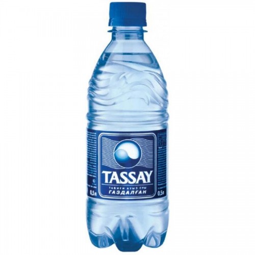 Минеральная вода TASSAY с газом, 0,5л, пластик