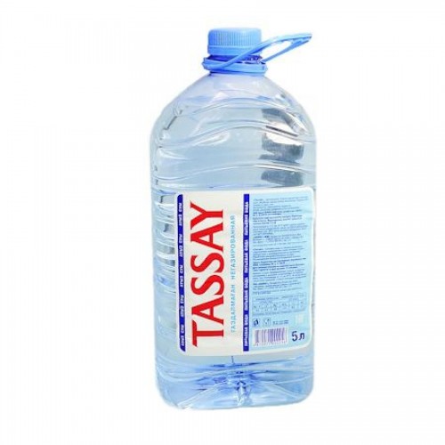 Минеральная вода TASSAY без газа 5л, пластик